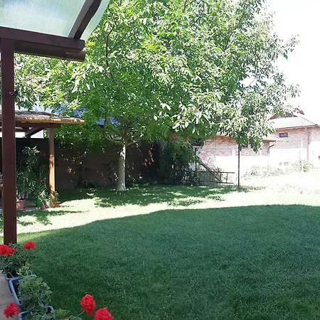 Sunshine * Hajdúszoboszló